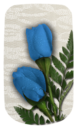DAROYAL-051 2 Roses Blue